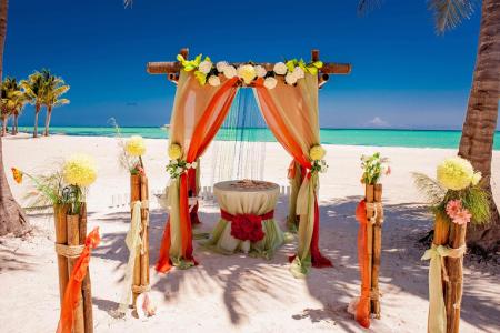 Свадебная арка в тропическом стиле - Фотографии
