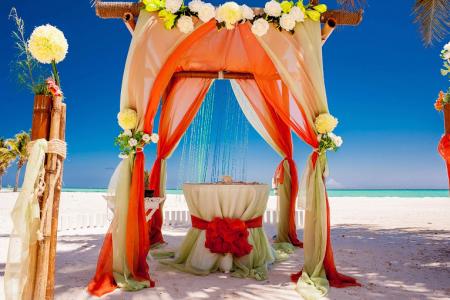 Свадебная арка в тропическом стиле - Фотографии